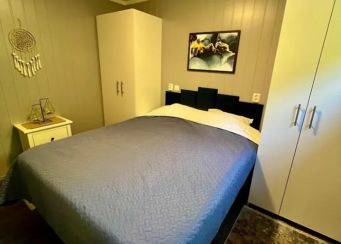 Arka Puhkemajad * Paeidre