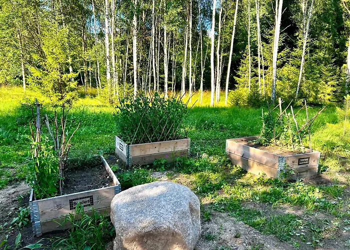 Arka Puhkemajad Vikendica *